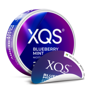 XQS Blueberry Mint 4mg