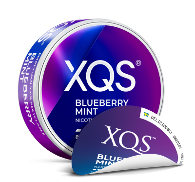 XQS Blueberry Mint 4mg